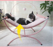 Cat Recliner