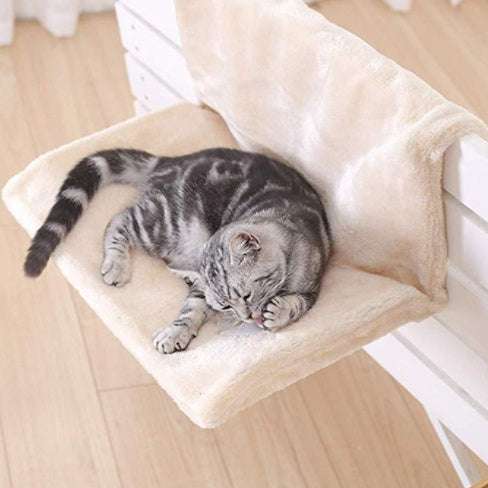 Cat Bed