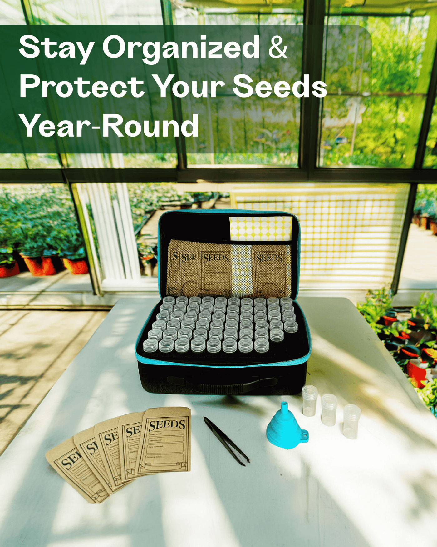 seed containers storage