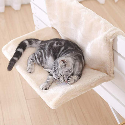 cat hammock