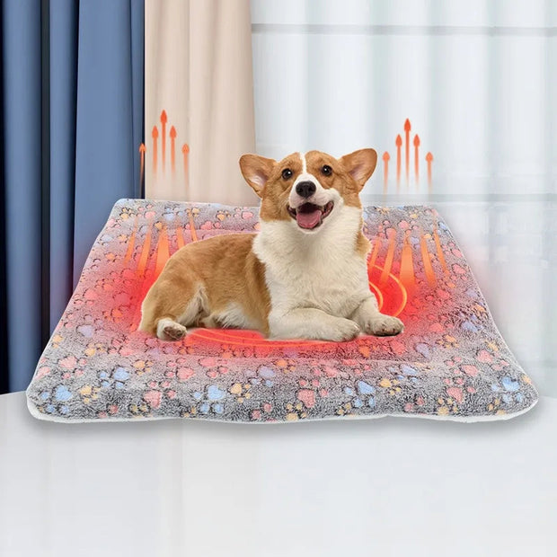 Pets Dog Bed
